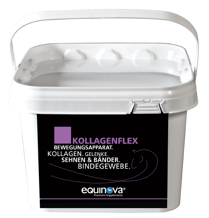 equinova Kollagenflex equinova Kollagenflex